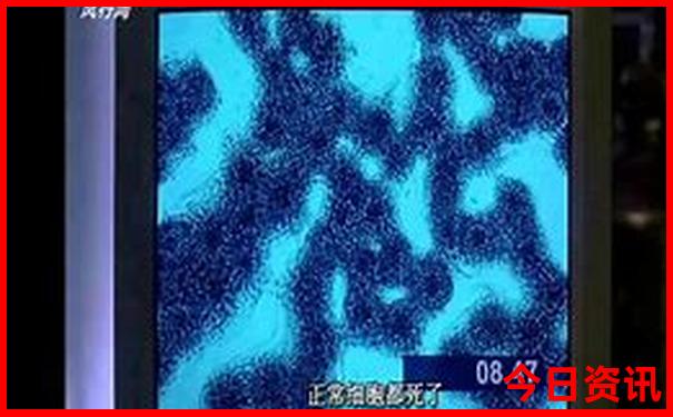 秦皇岛亲子游玩推荐